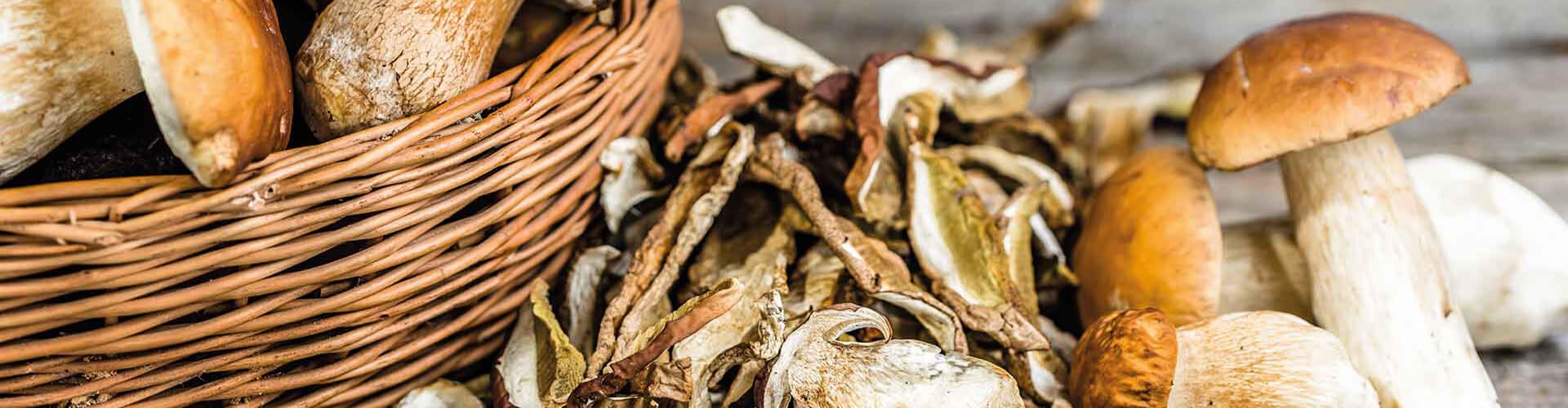 funghi porcini secchi